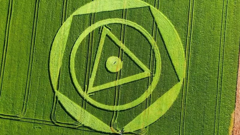 Plantação em SC amanhece com formas geométricas misteriosas; veja