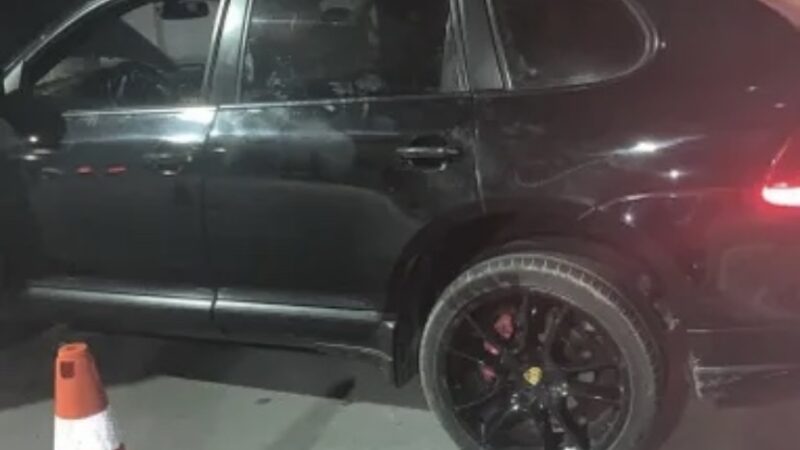 Apreensão de aves silvestres e recuperação de Porsche roubado em blitz na parte alta de Maceió