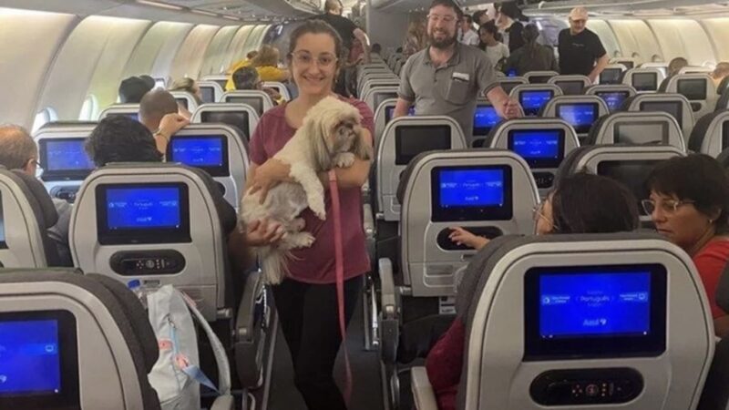 Israel: 2º voo de repatriados chegará ao Brasil às 3h desta 5ª (12/10)