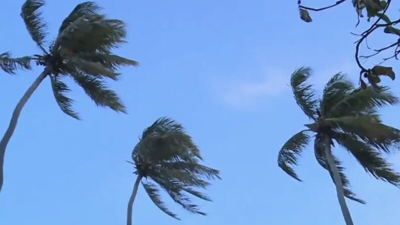 Vento Nordeste: fenômeno pode provocar rajadas de até 50 km/h no litoral de Alagoas