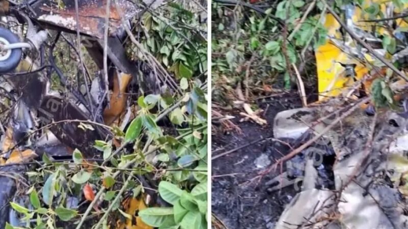 Morre piloto de avião agrícola que caiu em Campo Alegre