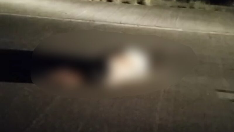 Homem morre após ser atropelado na BR-101, em São Sebastião