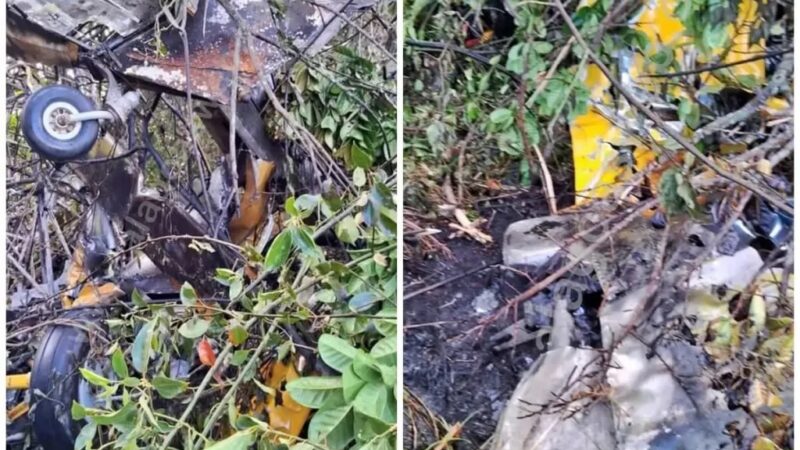 Piloto fica gravemente ferido após avião agrícola cair em Campo Alegre, AL