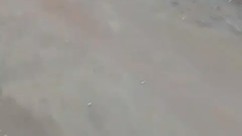 Três corpos são encontrados em estrada de terra em Arapiraca