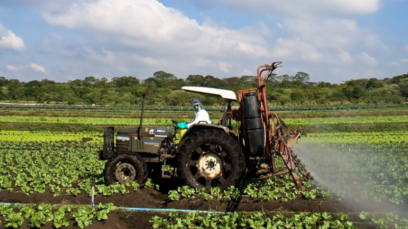 Presidente Lula sanciona lei sobre agrotóxicos com veto a mudanças no modelo regulatório
