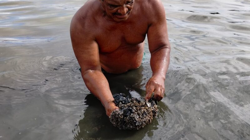 Pescadores denunciam mortandade de sururu após colapso de mina