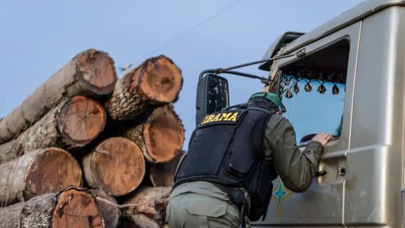 Servidores do Ibama anunciam paralisação em busca de reajuste salarial