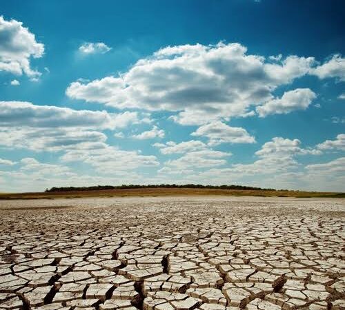 Seca severa deve atingir 30% dos municípios alagoanos