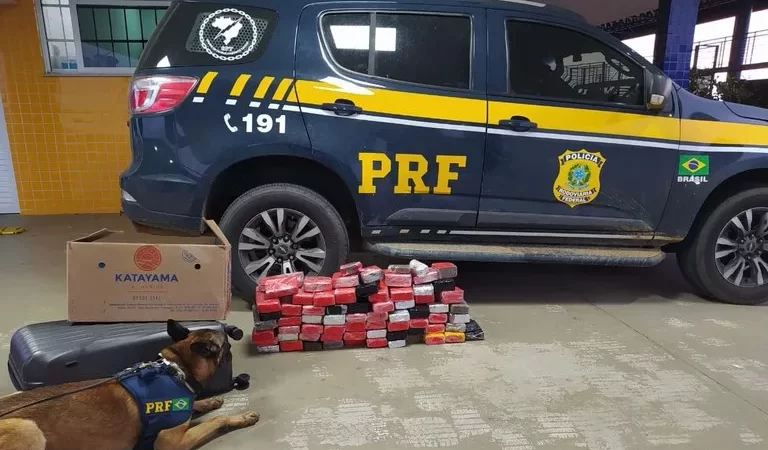 PRF apreende quase 57 kg de maconha em ônibus com destino a Alagoas