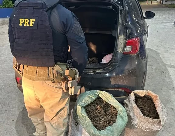 Operação conjunta apreende 18kg de maconha em Maribondo