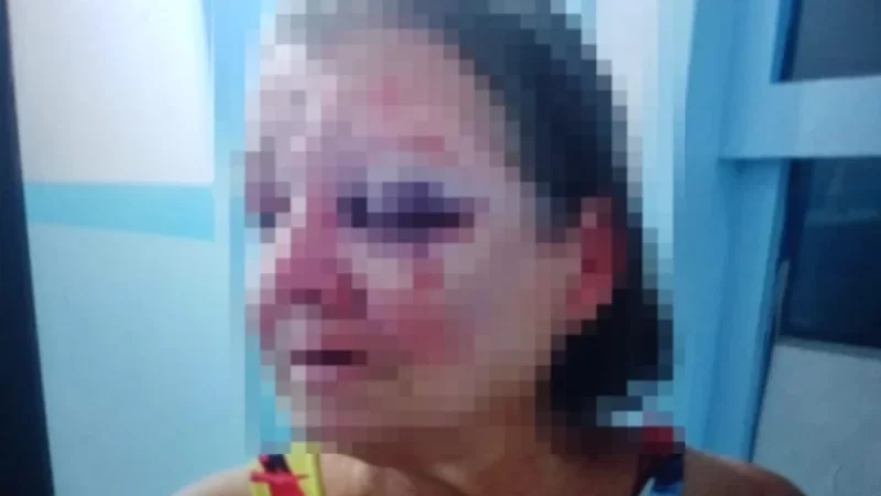 Delegacia de Campo Alegre conclui inquérito de filho que espancou a própria mãe