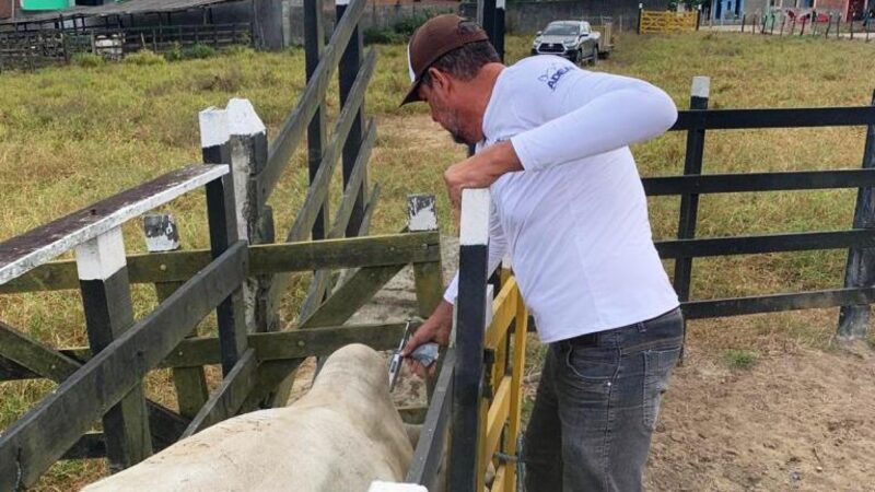 Adeal alerta criadores sobre prazos para vacinação e declaração da aftosa