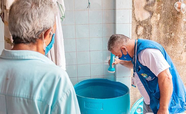 Em uma semana, Alagoas confirmou quase 700 casos de dengue