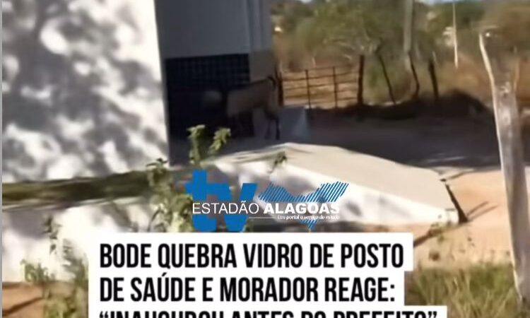 Bode é flagrado dando cabeçada em vidro de UBS