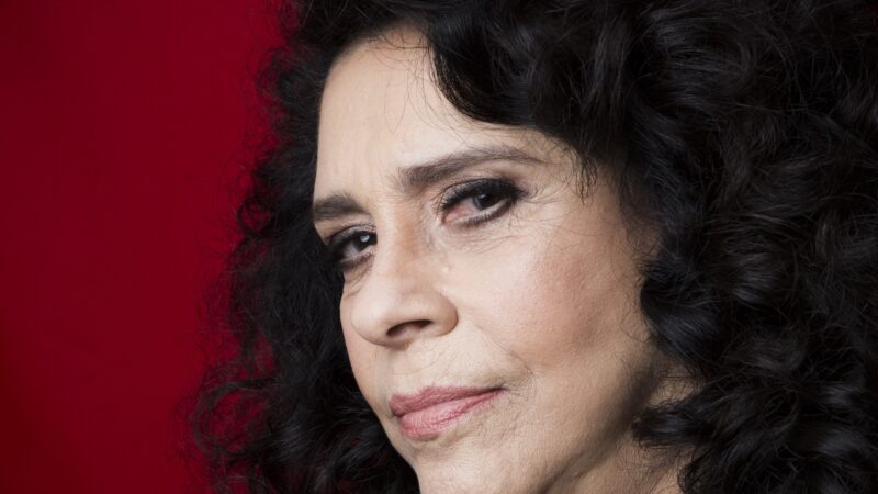 Disputa pela herança de Gal Costa ganha novos contornos com acusações de manipulação