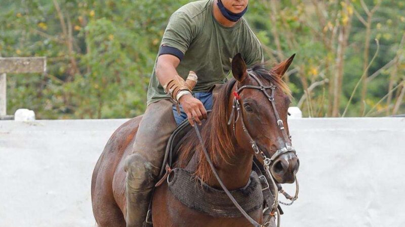 Vaqueiro alagoano morre após sofrer descarga elétrica em competição no TO