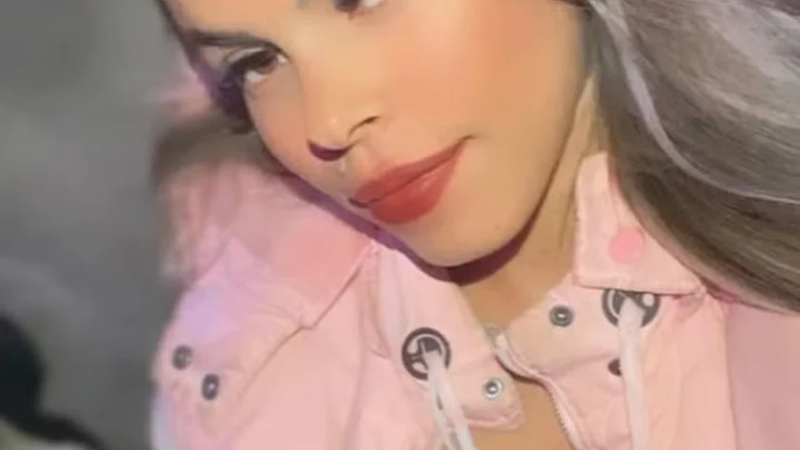 Médicos antecipam parto um dia antes de mãe morrer por dengue