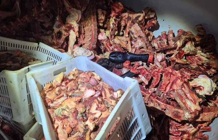 17 toneladas de carne imprópria são recolhidas no ES