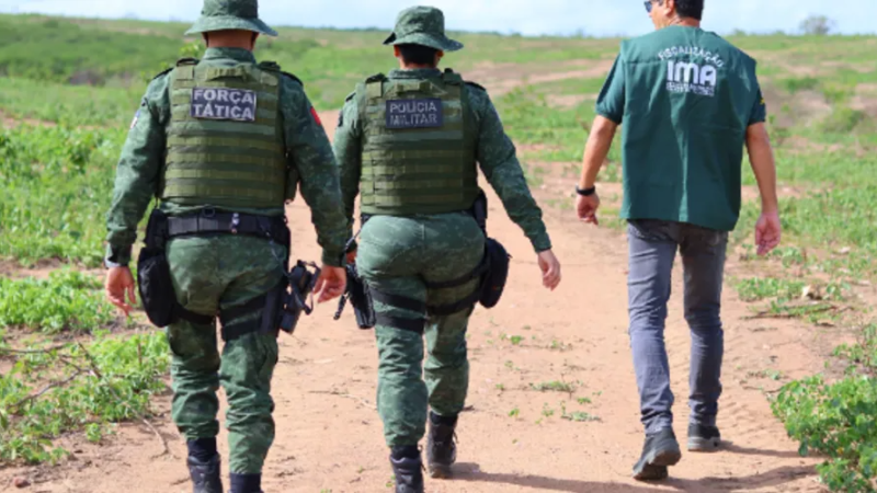 FPI embarga mais de mil hectares de terra por desmatamento ilegal