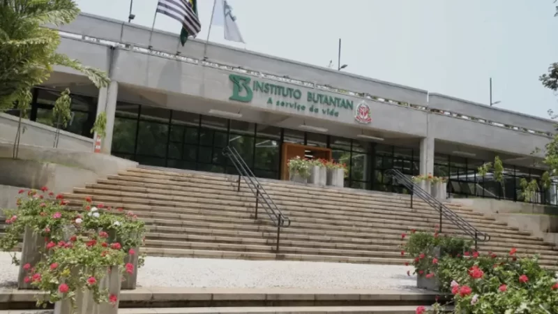 Filhote de cobra escapa de laboratório no Butantan