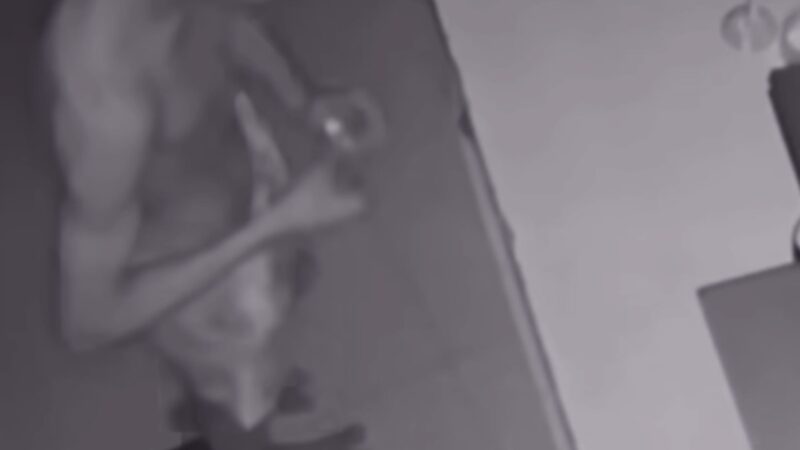 Pizzaria é furtada no São Cristóvão, em Palmeira dos Índios