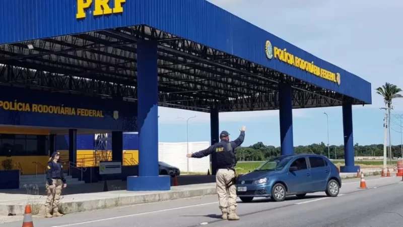 PRF encontra 30 aves silvestres transportadas em ônibus no Agreste