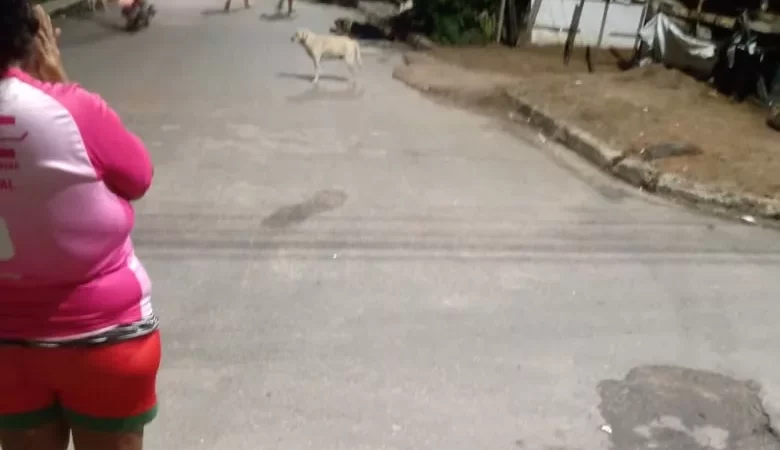 Homem é encontrado morto em Arapiraca