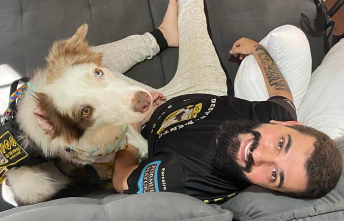 Autismo e depressão: cães são treinados para ajudar pacientes em crise