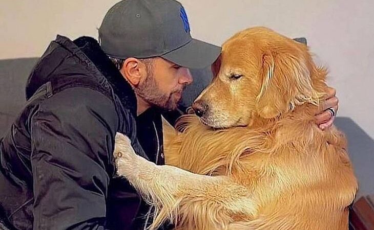 Após morte de Joca, Câmara aprova projeto que obriga aéreas a rastrear transporte de pets