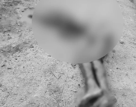 Trio invade casa, mata homem a tiros e fere criança