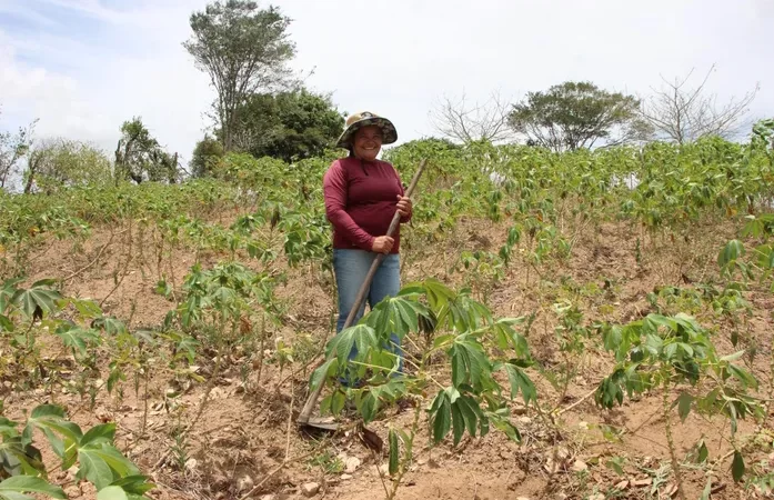 Agricultura anuncia prorrogação de pagamento de boletos do Garantia-Safra 23/24