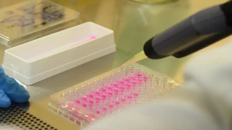 Vírus zika pode voltar a se replicar após recuperação, aponta estudo