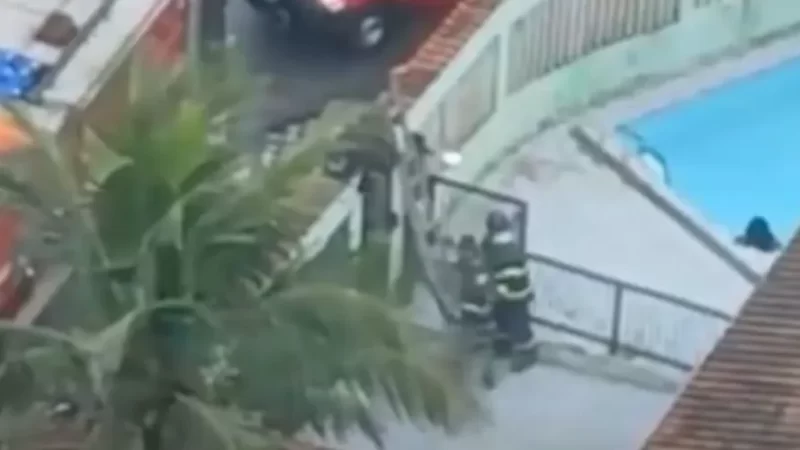 Bombeiros salvam cachorro de afogamento em piscina