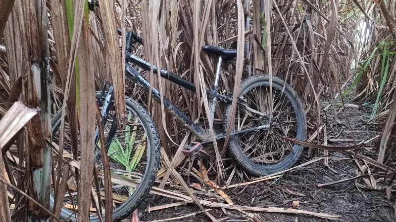 Homem passa mal e morre em canavial em São Miguel dos Campos