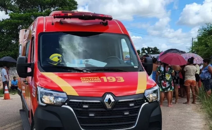 Égua entra em trabalho de parto dentro de juizado, no interior de Alagoas