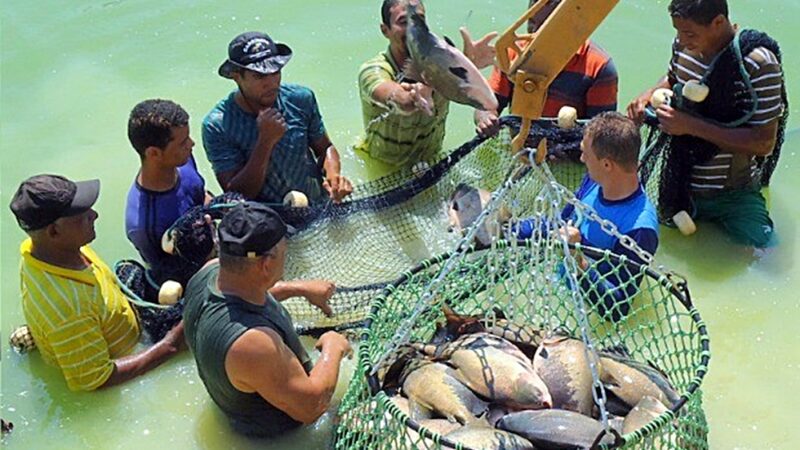 Ministério da Pesca anuncia concurso com salário de R$ 6.130