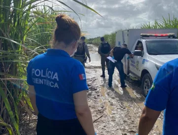 Ossada humana é encontrada junto com joias em canavial em Teotônio Vilela