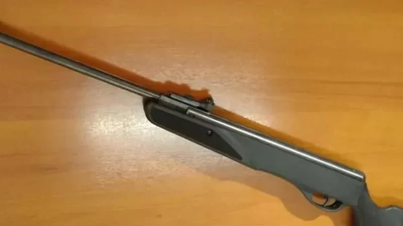 Adolescente armado com espingarda de chumbinho atira no próprio avô e foge, em Craíbas