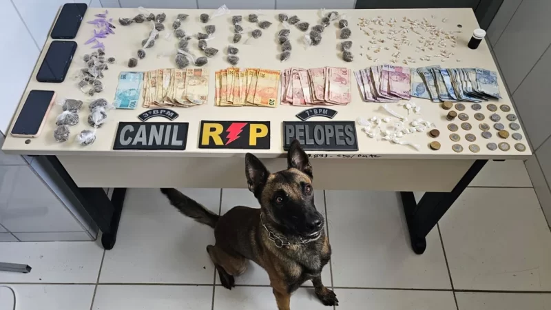 Após denúncia, polícia prende quatro suspeitos de tráfico de drogas no Sertão de Alagoas