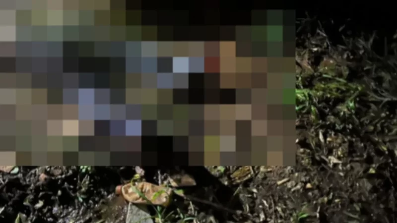 Homem é morto com golpes de facão durante bebedeira com colega e tem corpo jogado em fossa