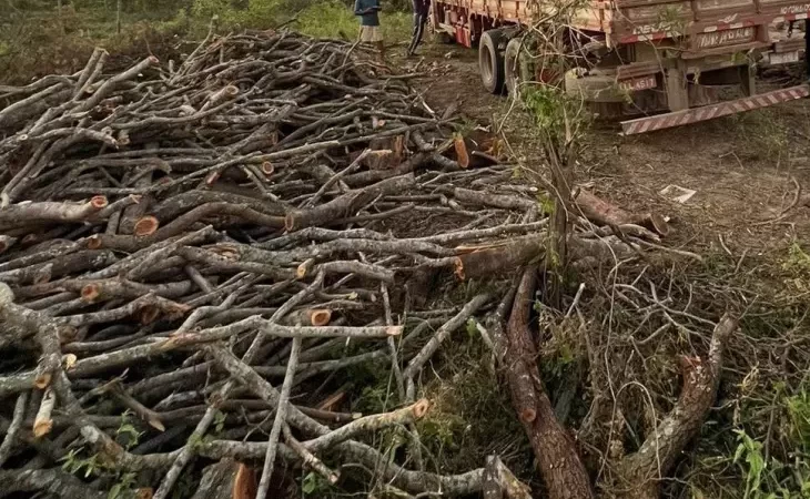 Quatro são presos acusados de desmatamento na reserva indígena no sertão