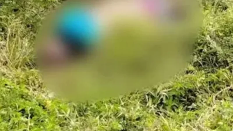 Corpo encontrado em Dois Riachos é identificado como morador de Santana do Ipanema