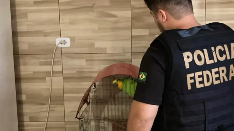 Operação da PF combate tráfico de animais silvestres em Alagoas e Sergipe
