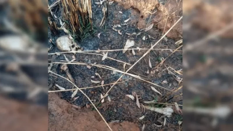 Ossadas humanas são encontradas em regiões de matagal