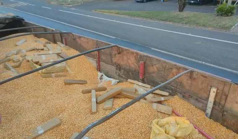 PRF apreende 5 toneladas de maconha escondidas em carga de milho