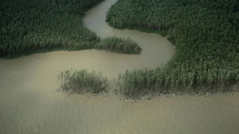Amapá pede socorro ao Governo: sair de condenado à pobreza ao eldorado do petróleo