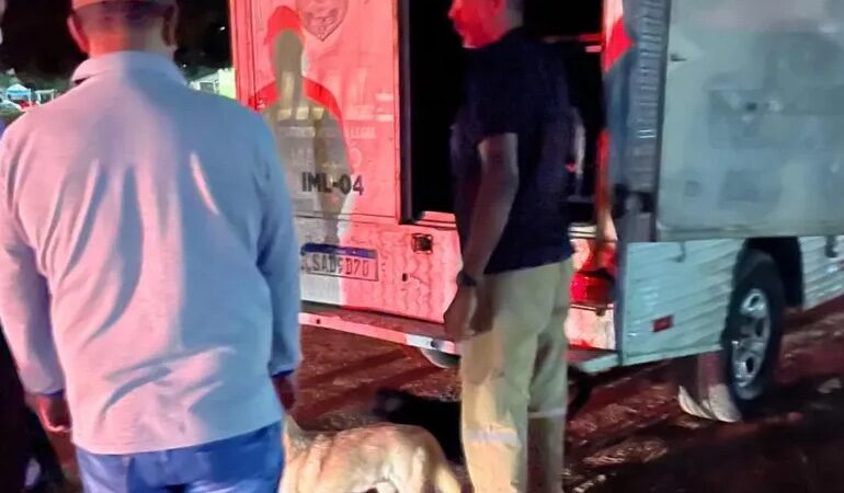 Tutora é assassinada e cadela permanece ao lado do corpo no Benedito Bentes