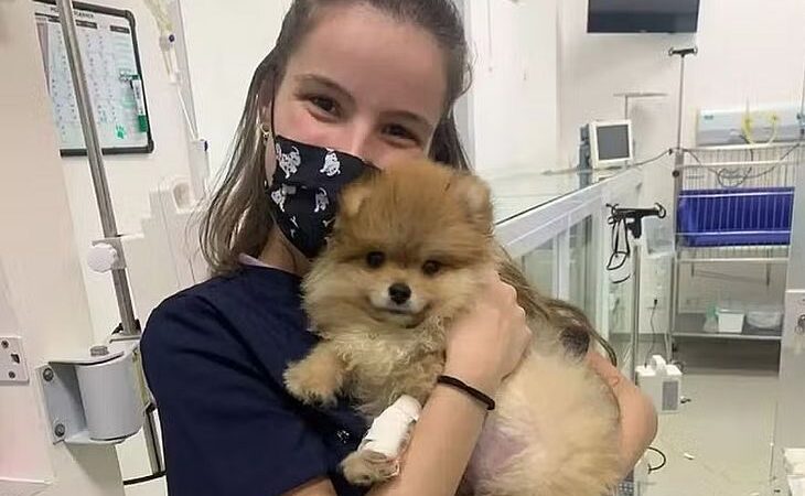 Veterinária é baleada em tentativa de assalto e dirige 4 km por ajuda