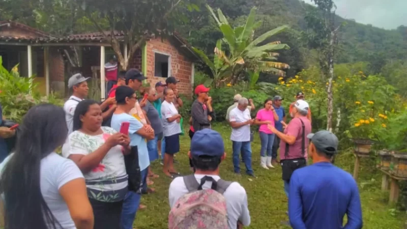 10° Centro de Reprodução de Abelhas Nativas da Uniprópolis em Colônia Leopoldina