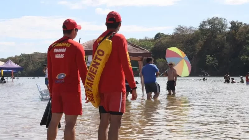 Bombeiros registram 14 ataques de caravelas em praias de Marechal Deodoro